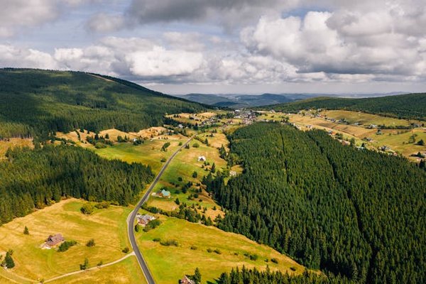 Quelle est l'efficacité des toits verts pour l'isolation thermique des bâtiments?