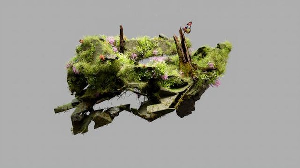 Comment développer un programme de sensibilisation à la biodiversité pour les enfants, avec des activités pratiques et des projets de classe ?